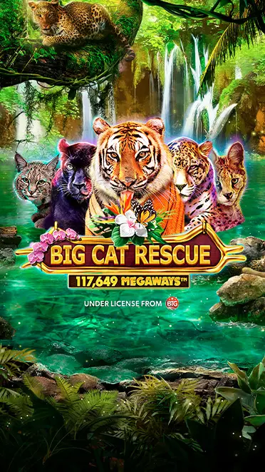 Big Cat Rescue MegaWays