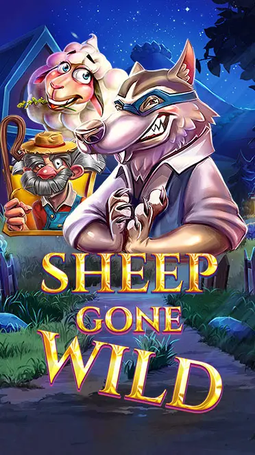 Sheep Gone Wild