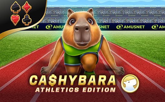 Cashybara Athletics Edition AM