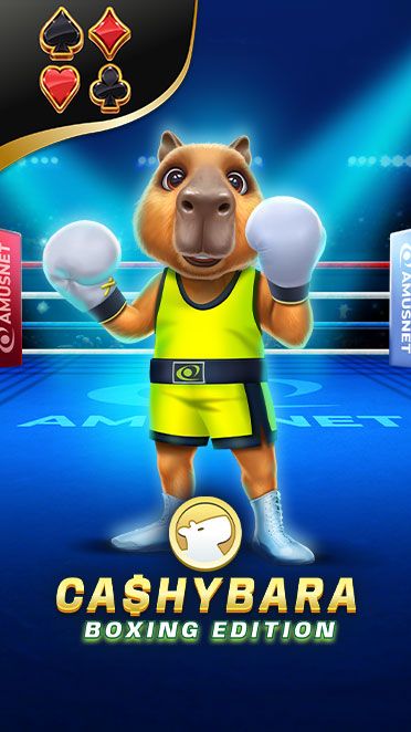 Cashybara Boxing Edition AM