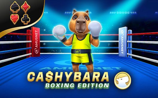 Cashybara Boxing Edition AM