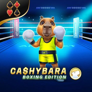 Cashybara Boxing Edition AM