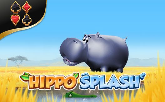 Hippo Splash AM