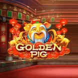 Golden Pig