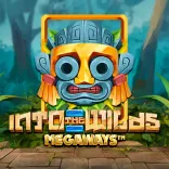 Into The Wilds Megaways